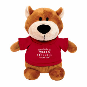 Bean Bag Buddies – Brown Bear – 6″ w/”Someone from Wells Loves Me” t-shirt