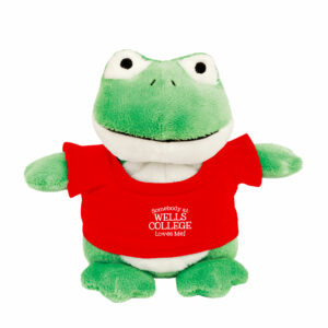 Bean Bag Buddies – Frog – 6″ w/”Someone from Wells Loves Me” t-shirt