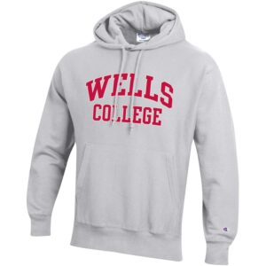 Champion Reverse Weave Hood – Silver Gray