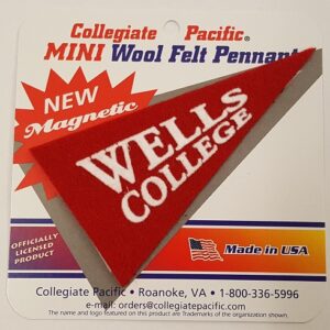 Magnet – Red Felt Mini Pennant