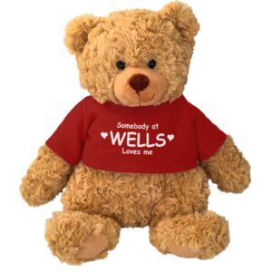 Cuddle Buddy – Caramel Bear w/T-Shirt