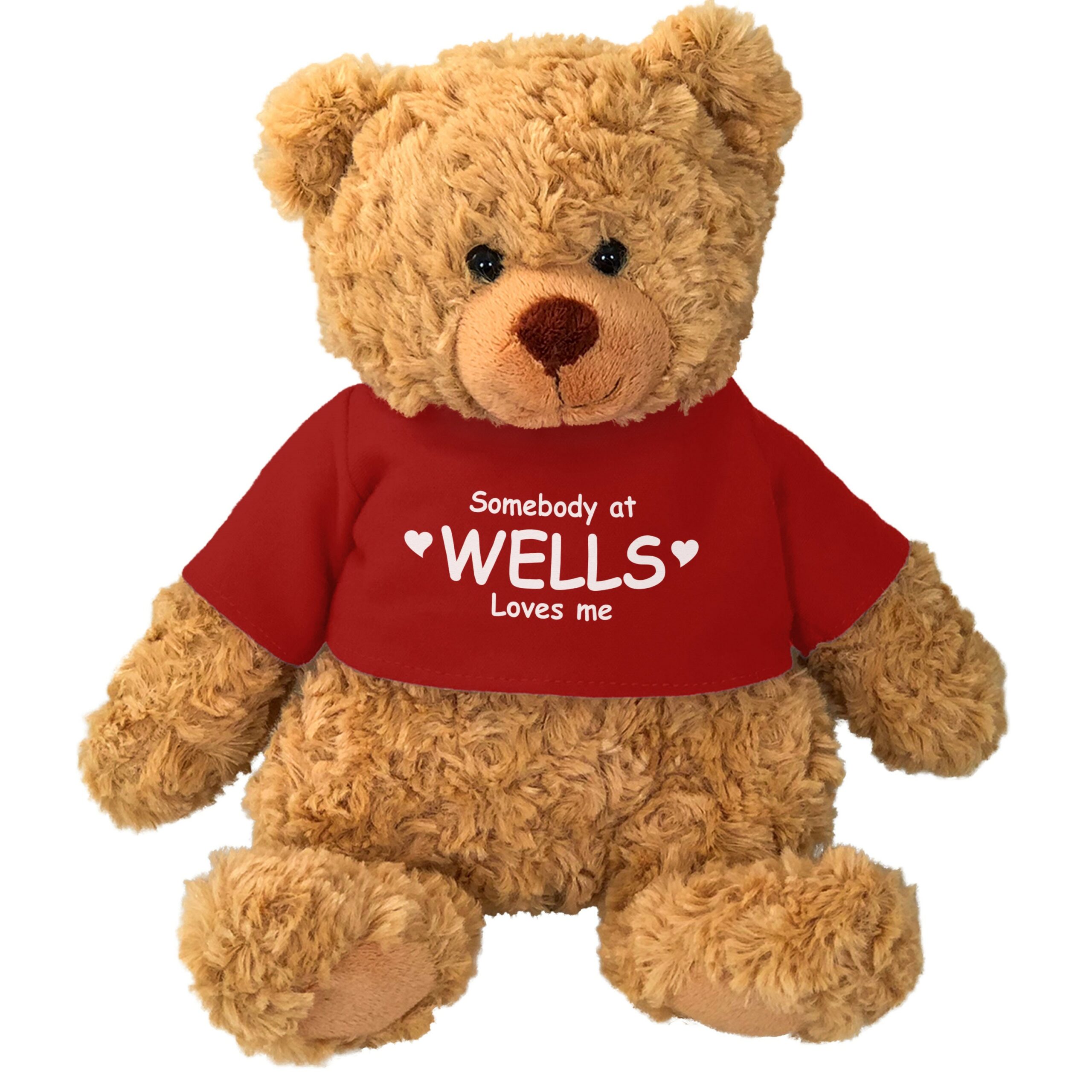 Cuddle Buddy – Caramel Bear w/T-Shirt