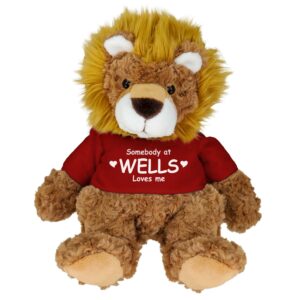 Cuddle Buddy – Lion w/T-Shirt
